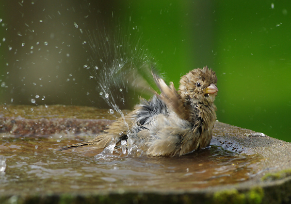 Bath time!