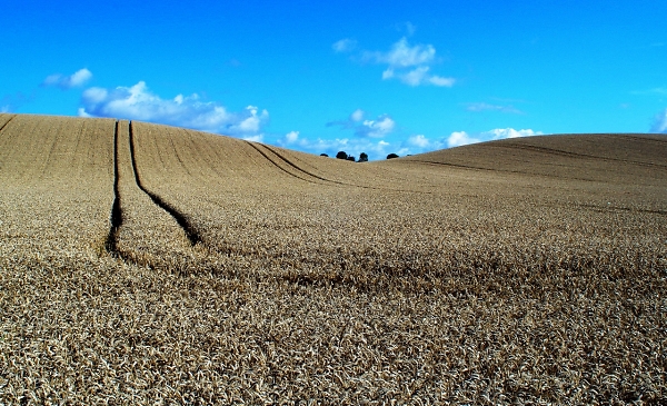 CORNHILL IN NORTHUMBERLAND TODAY