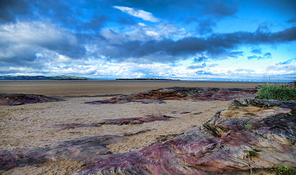 Dee Estuary