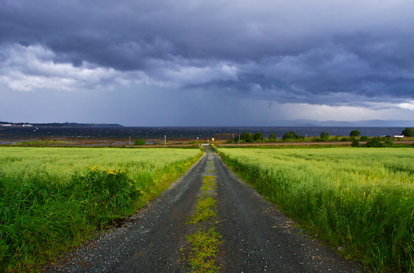 Into The Storm
