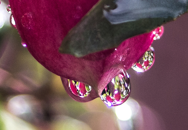 Little lenses