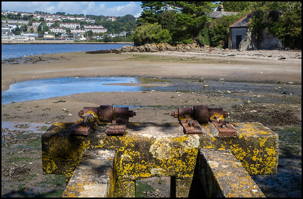 Tamar River Beach at Saltram