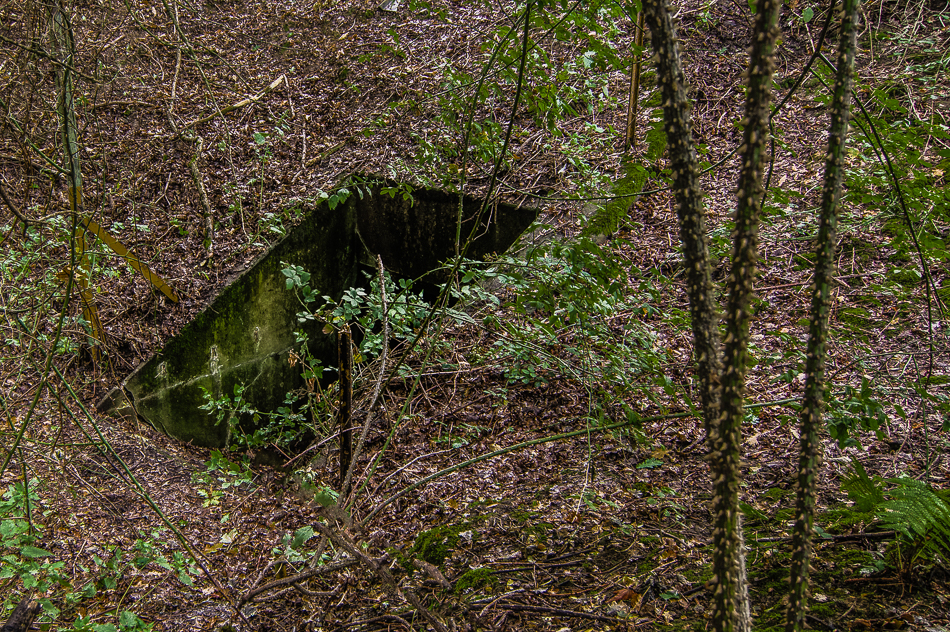 A hole in the ground