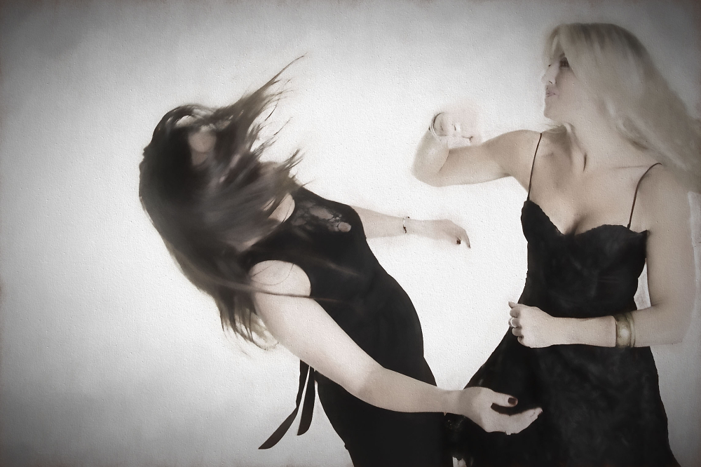 Cat fight