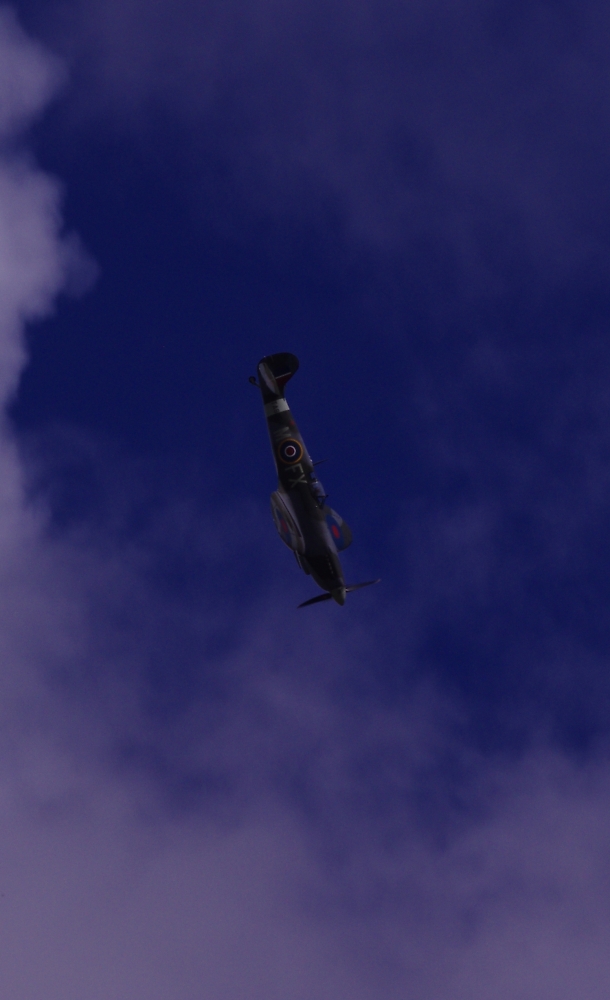 steep diving spitfire