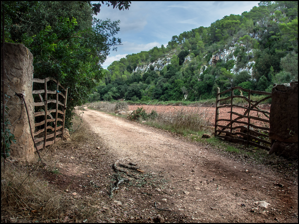 Track Through the Gorge