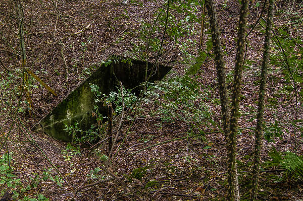 A hole in the ground
