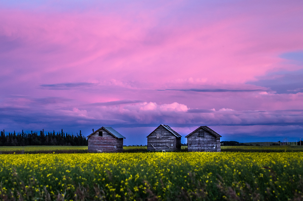 Red Sky at Night: Farmer's Delight!