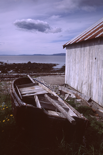 Rowing Boat