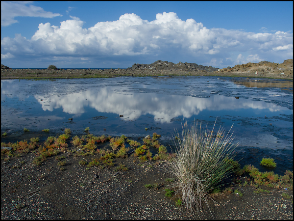 Salt Marsh at Cap Favaritx