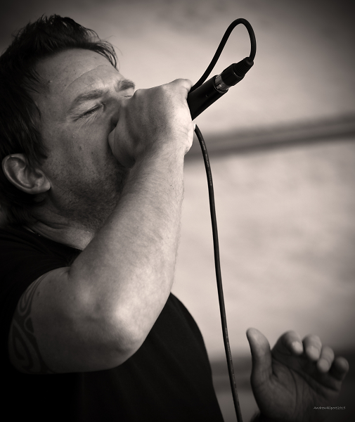The Singer