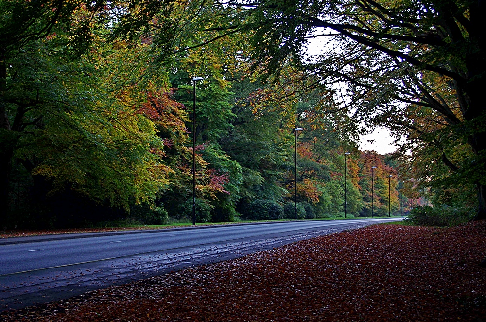 Autumn 'A' road