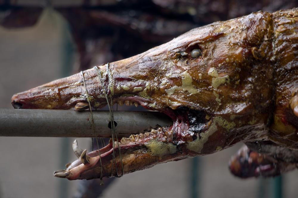 Spit roast
