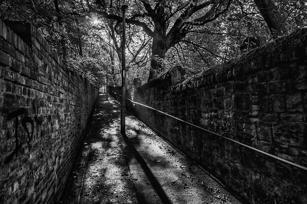 City Centre Path