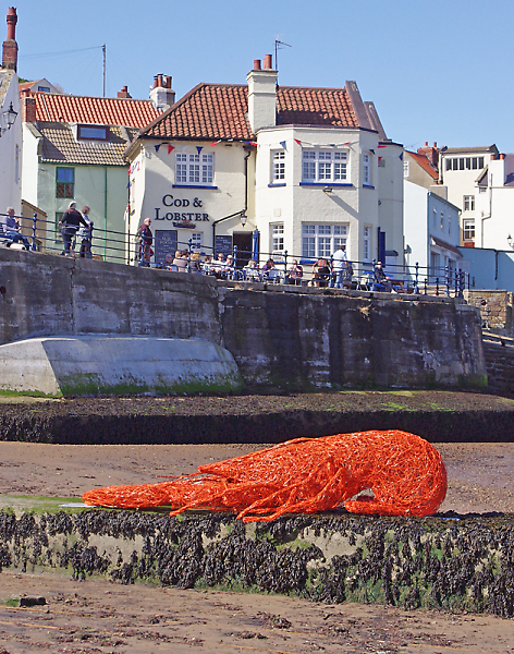 Cod and orange lobster