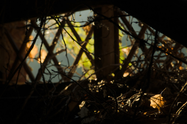 derelict