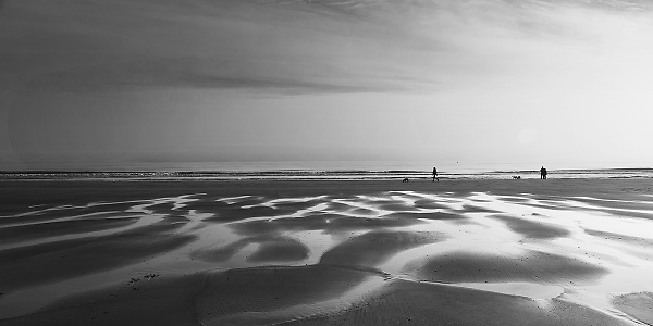 Dog Walkers - Blyth Beach