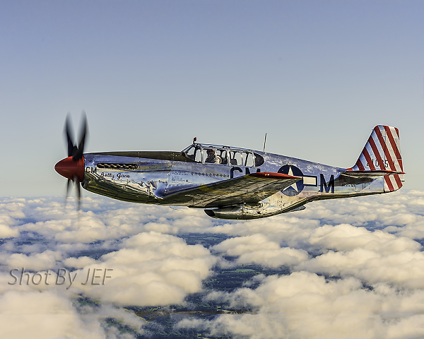 Flying With A Mustang