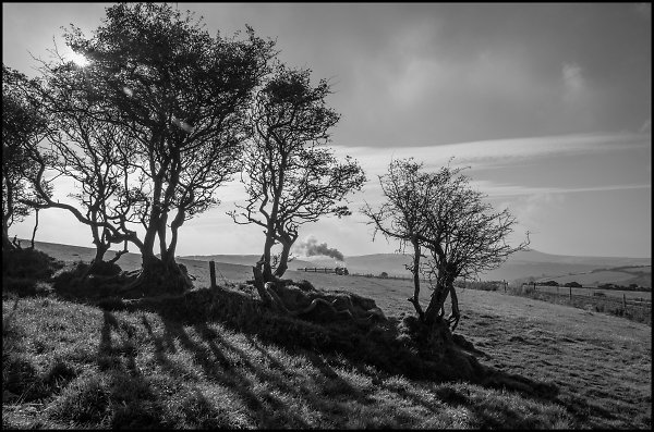 Steam on Exmoor