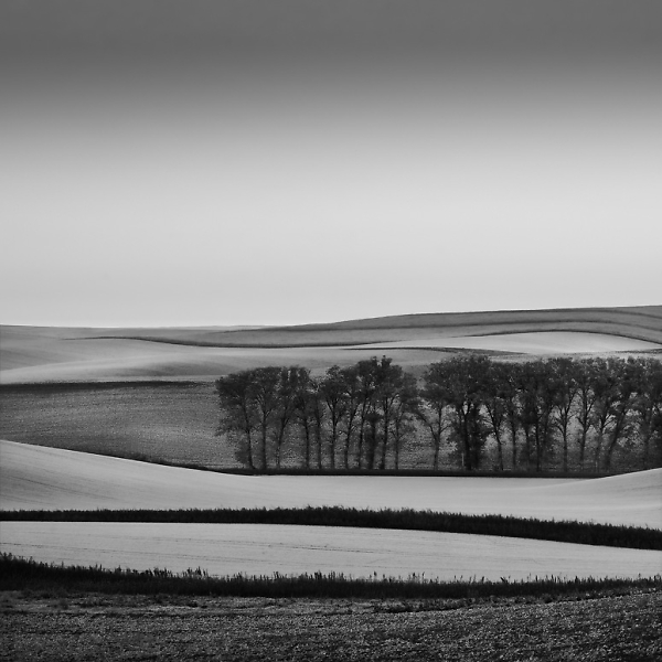 Striped landscape...