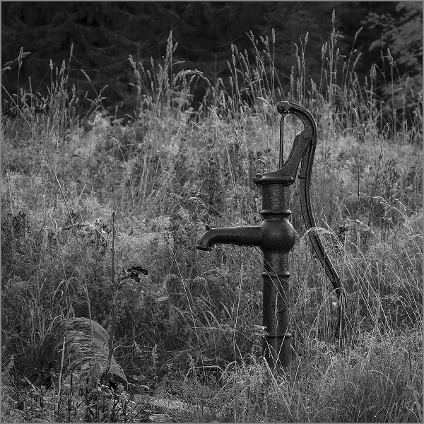 The pump