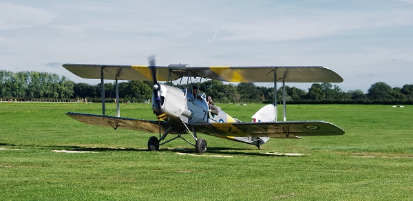 Tiger Moth