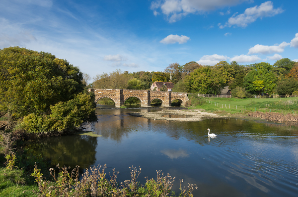 TOWARDS THE BRIDGE