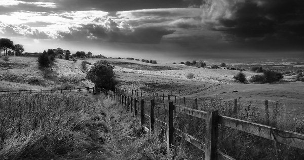 Werneth Low