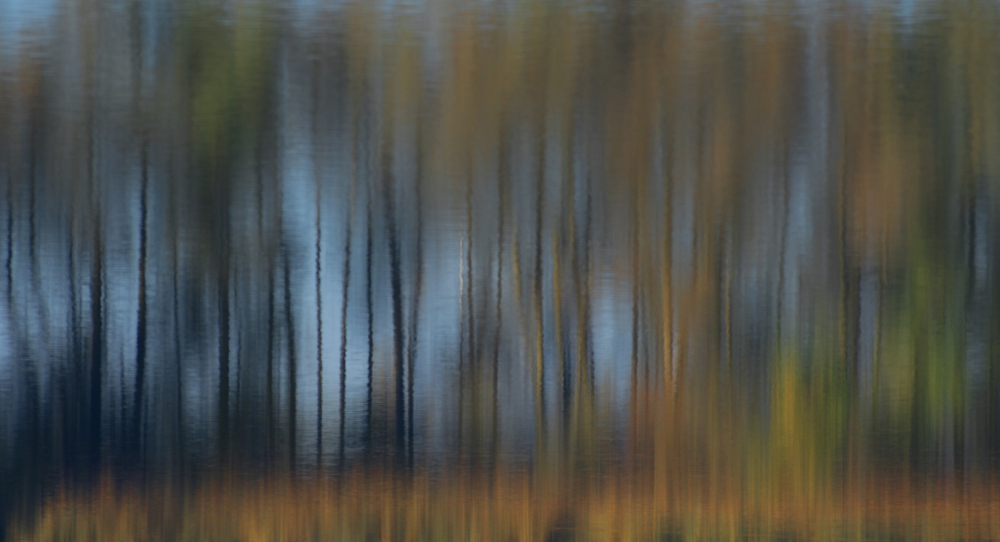 autumnal reflects