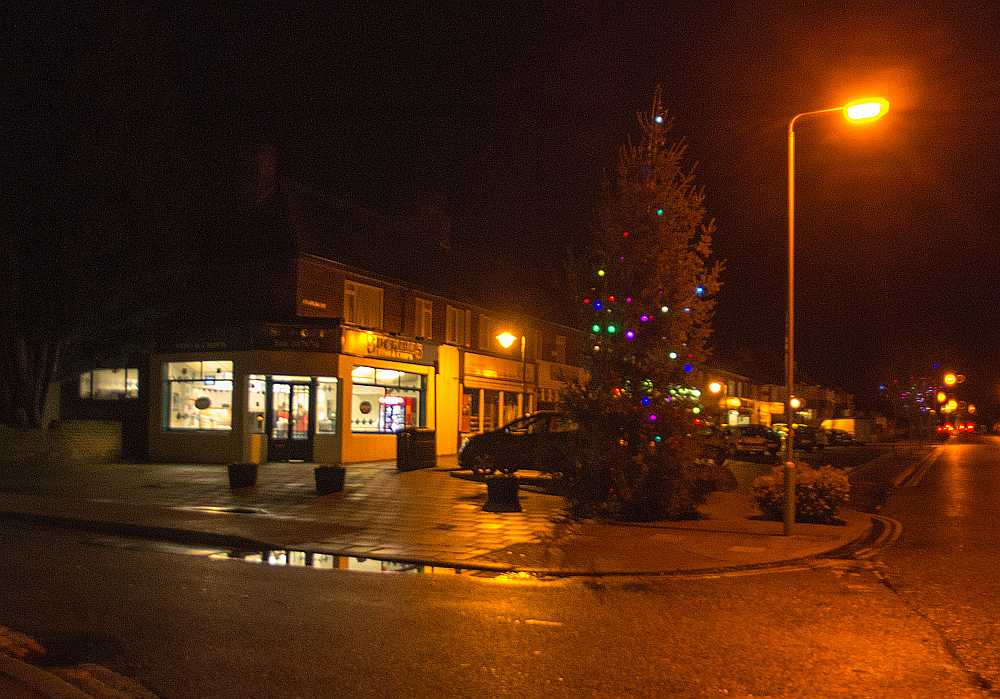 Christmas Tree on the Street Corner