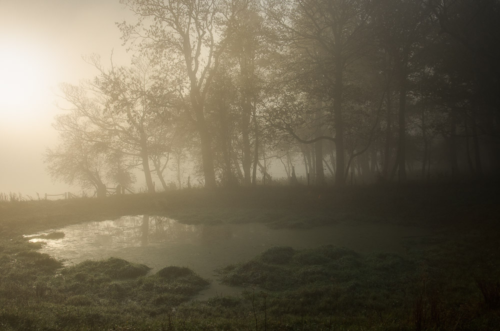 dew-pond