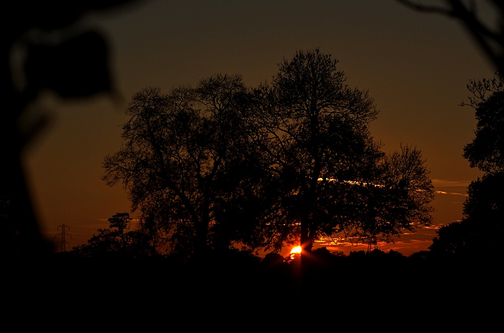 halloween sunset