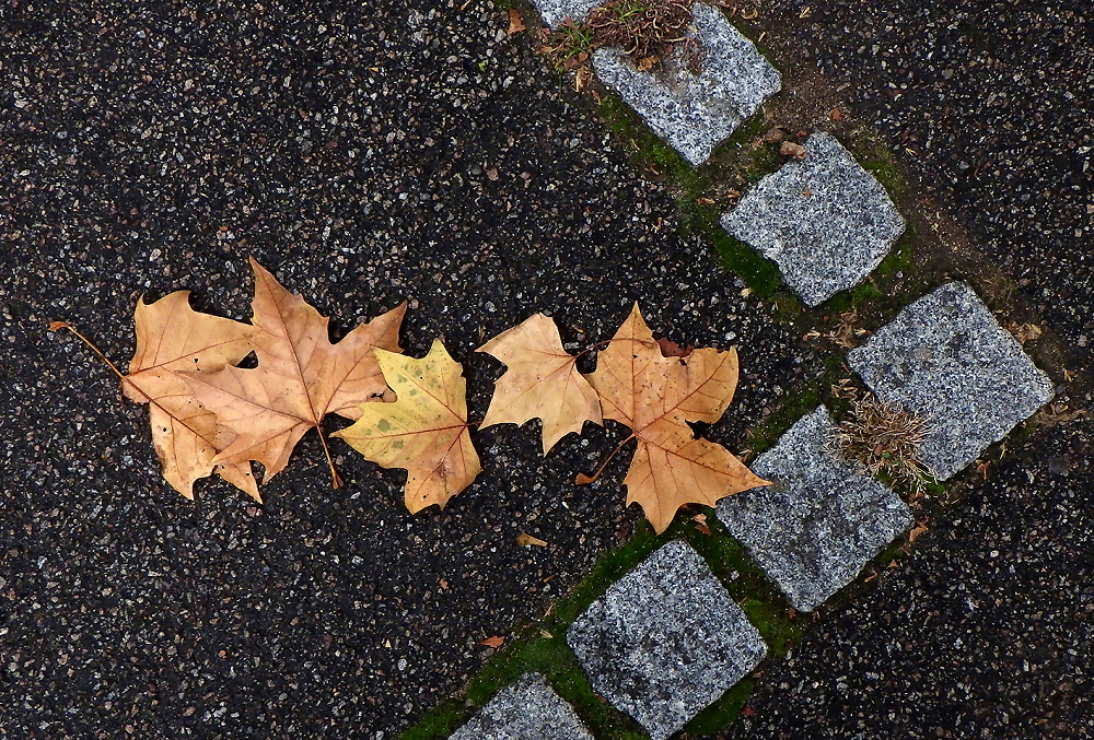 Leaves to the right....