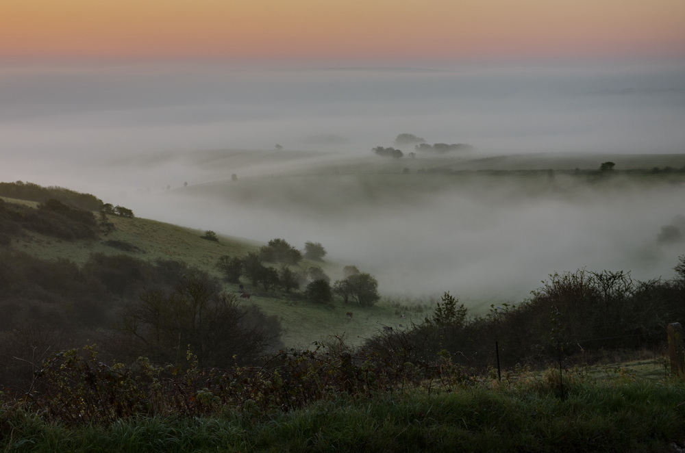 misty downs at dawn