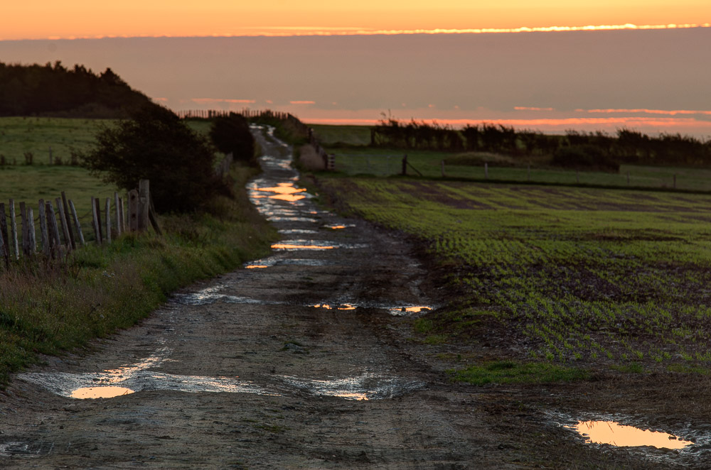 South Downs Way