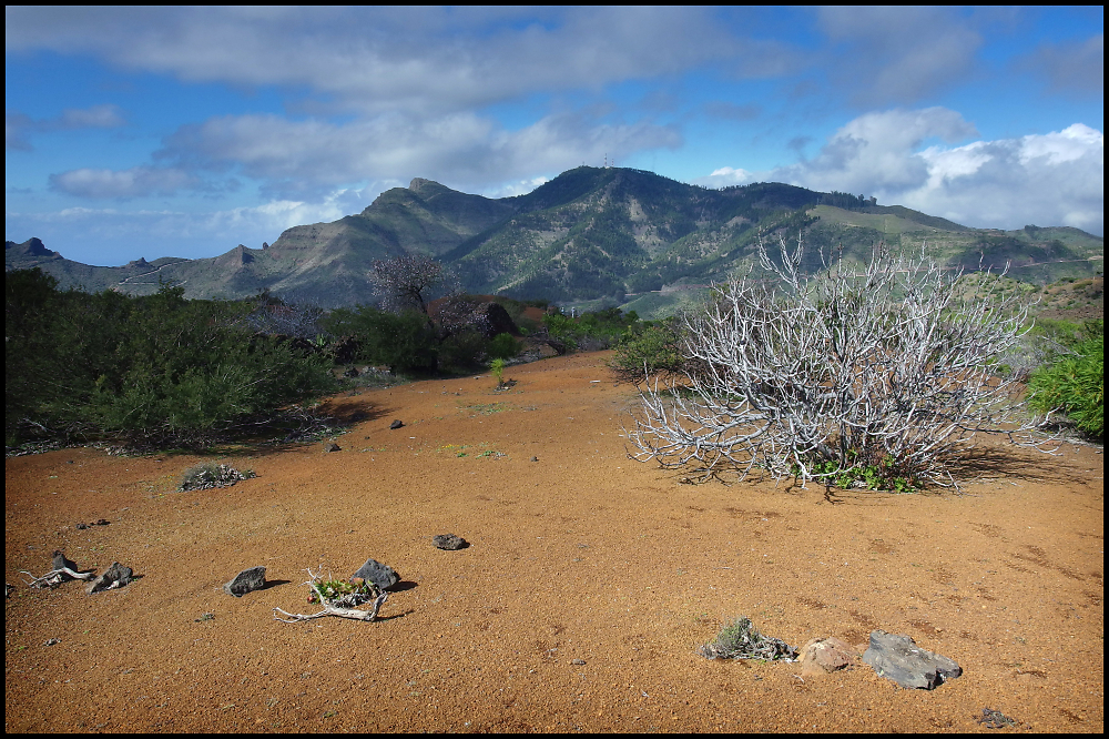 Volcanic Landscape