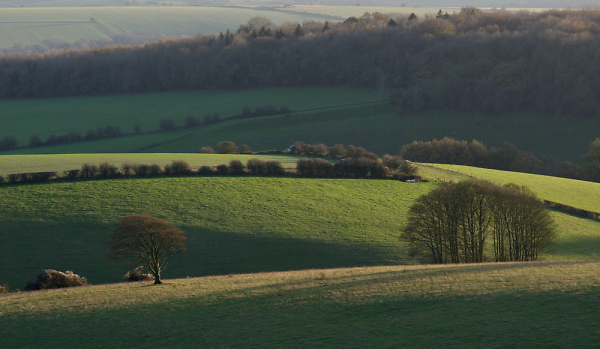 afternoon on the South Downs