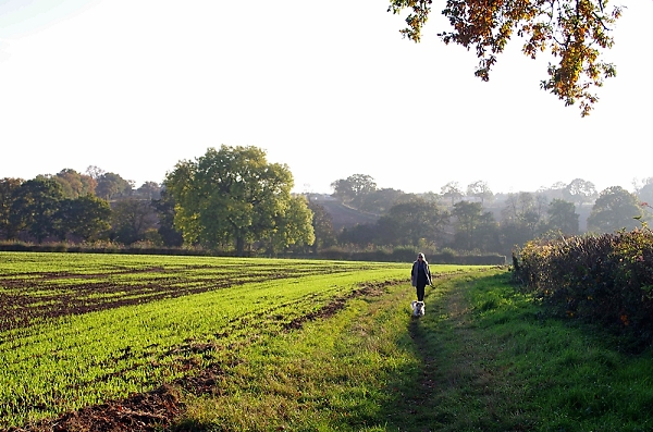 autumn walkies