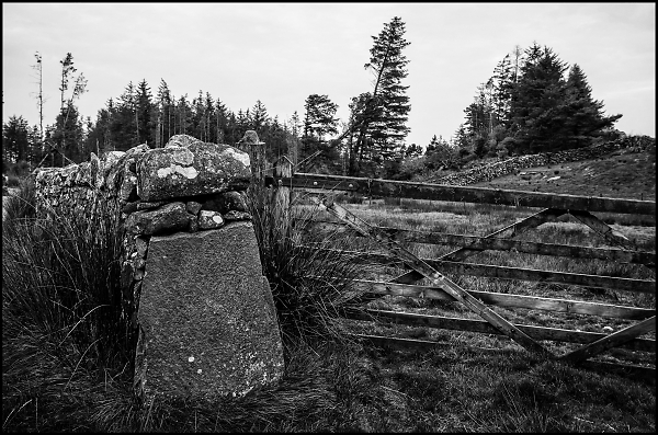 Field Corner
