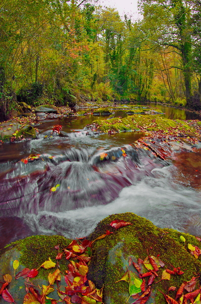 Okehampton