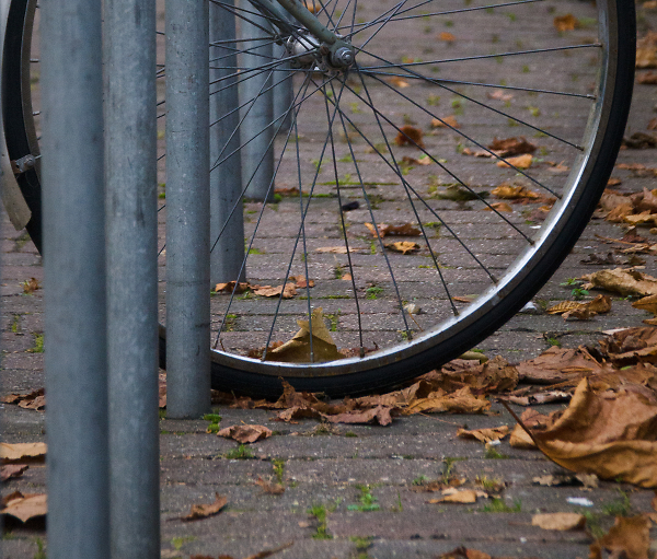 Seasons' cycle