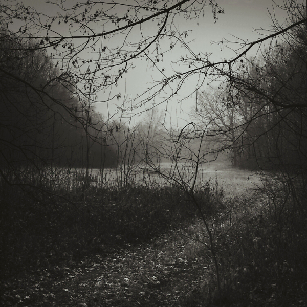 When the leaves fall...
