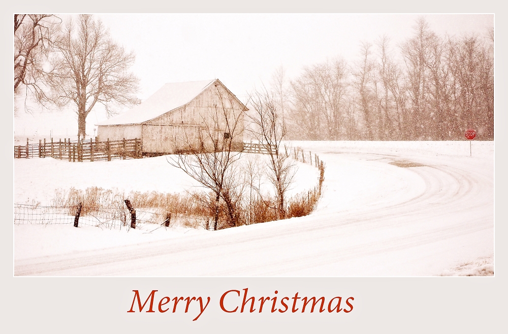Merry Christmas