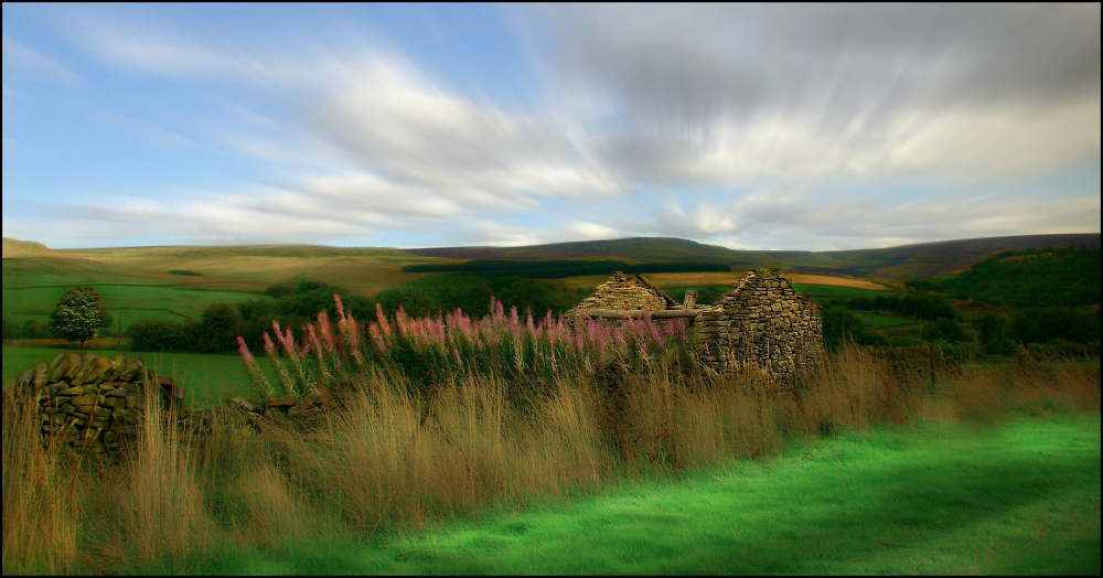 "Somewhere just before Autumn began"