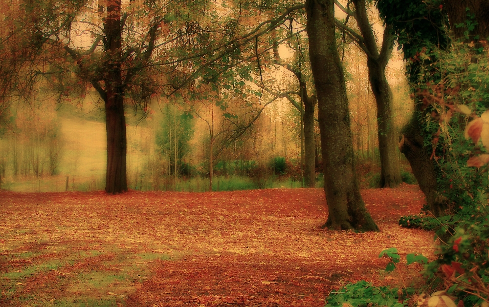 "Stillness"