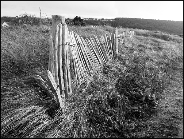 Fence on the Dunes
