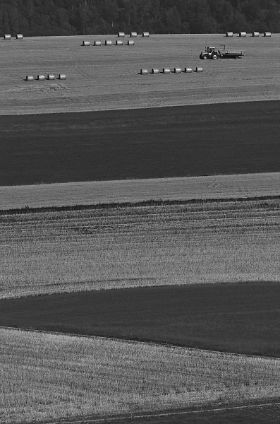 harvest