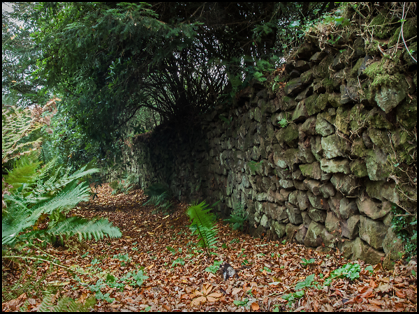 Leaf Strewn Path