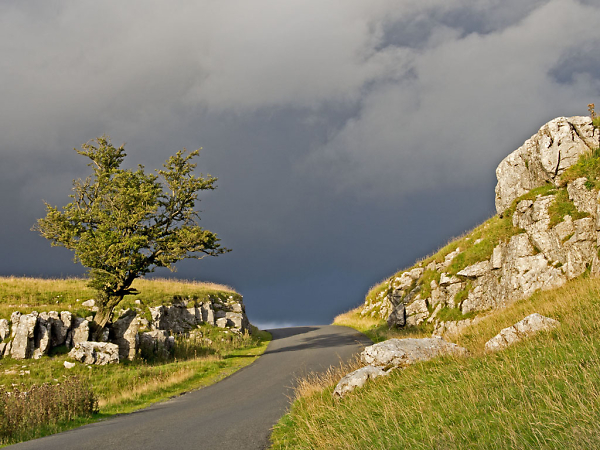 Lonely Road