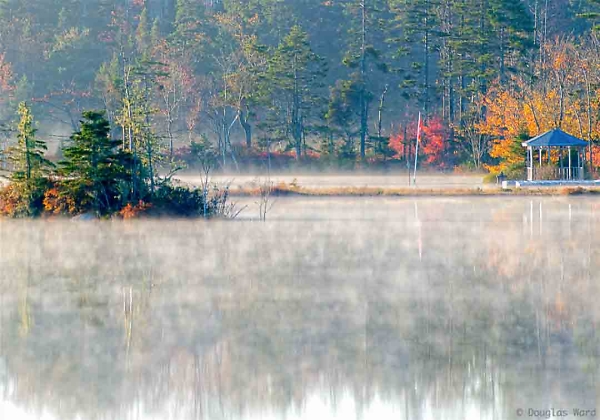 The mists of Fall - and being up early!